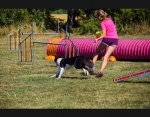 IMG_20180823_095043